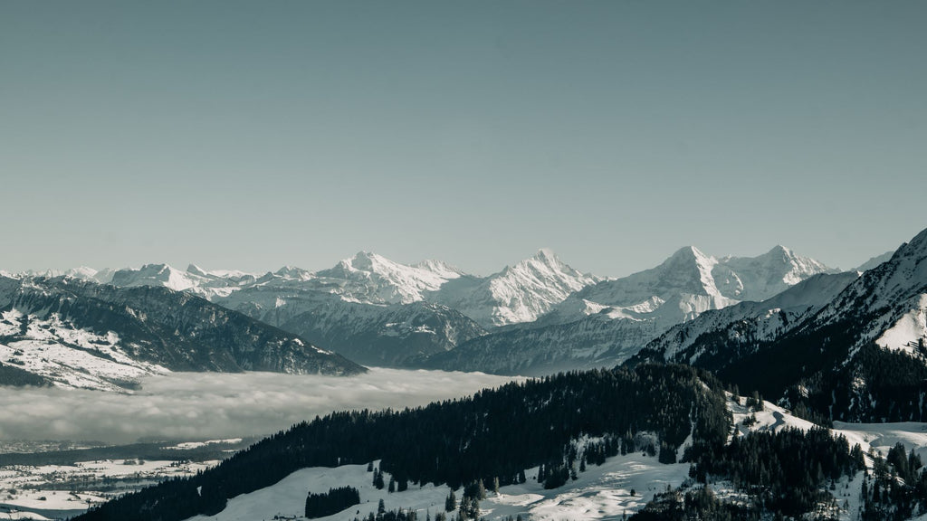 THE SUMMIT